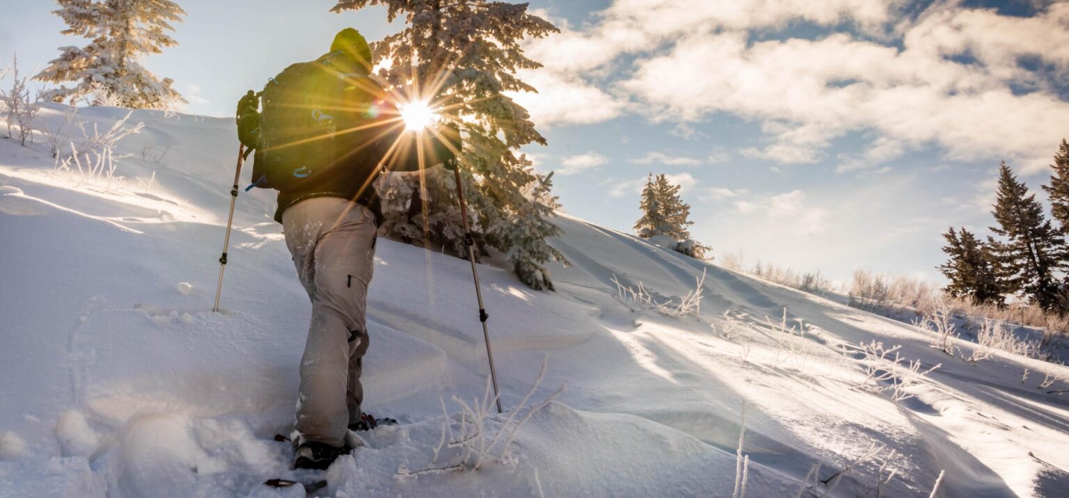 Skier on snow with sun and trees